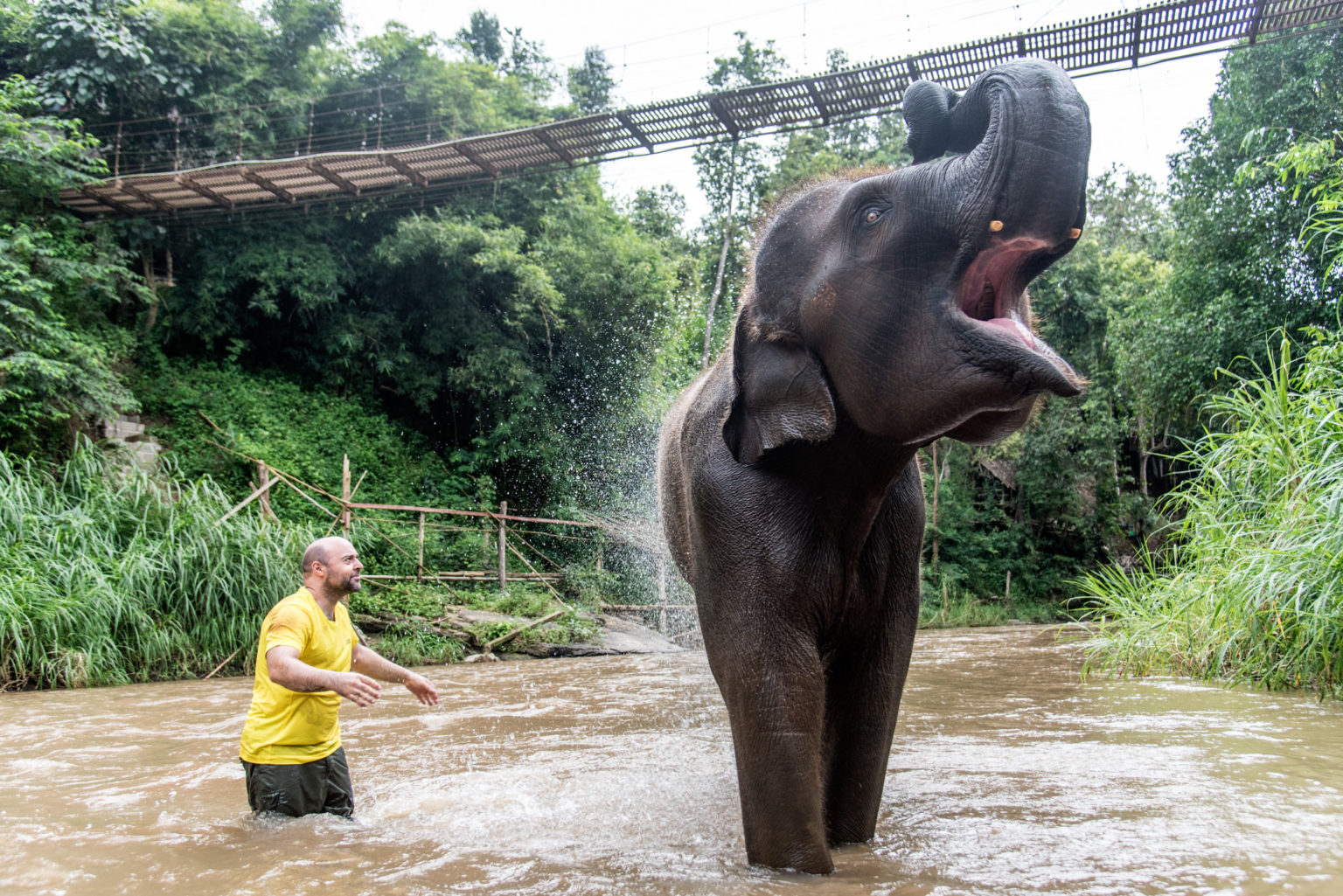 Elephant Experience - Tawan Riverside - Elephant Resort